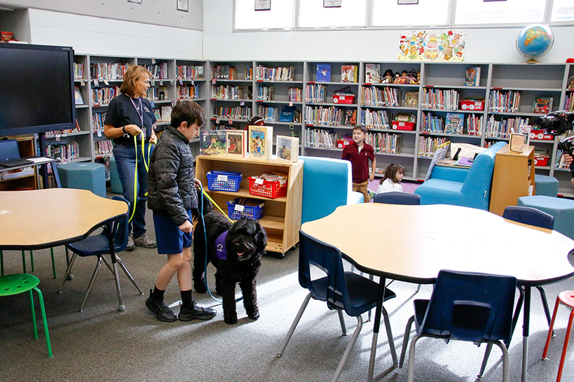 A boy walks a fluffy black therapy dog in the school library
